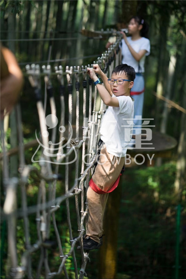 丛林拓展设备