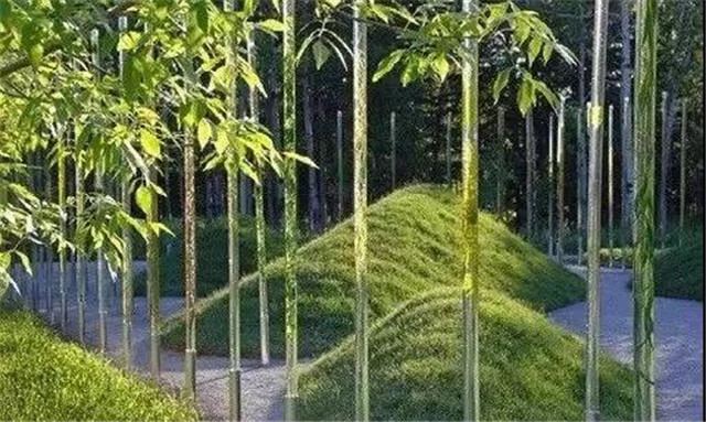 儿童户外活动场地